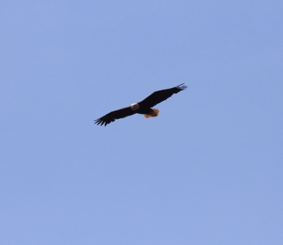 2019 05 08 HTP 90360e